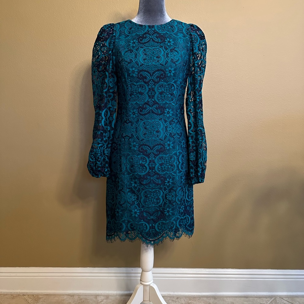 Lace Long Sleeve Sheath. Bodice fully lined, sheer sleeves. Size 00, Runs big.